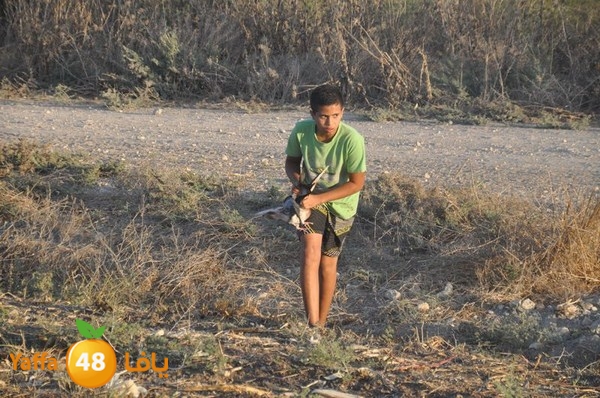 7amam lud monir 908 (29).JPG